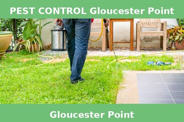 PEST CONTROL Gloucester Point